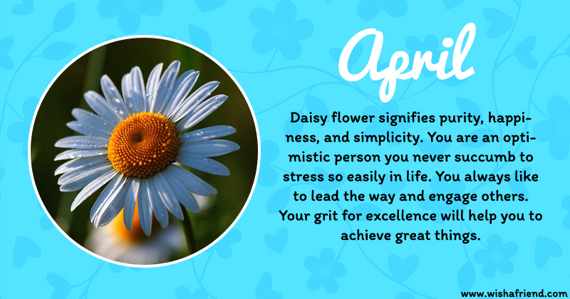 Your Birth Flower is April