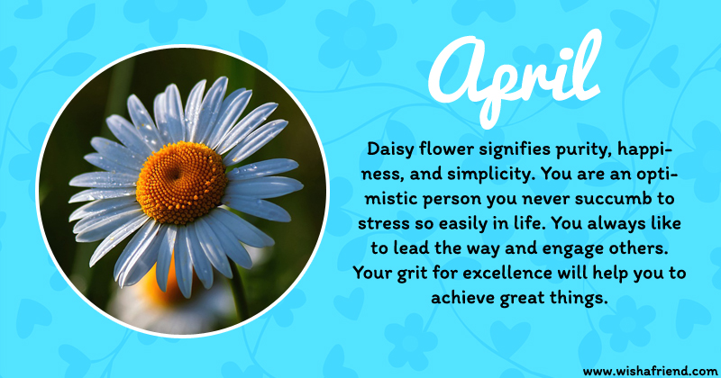 Your Birth Flower Is April