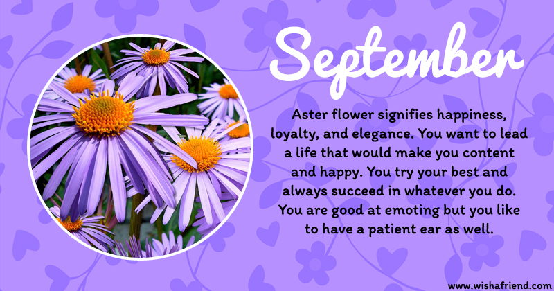 Your Birth Flower Is September