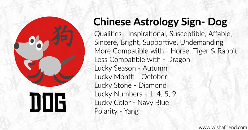 what does the dog zodiac mean