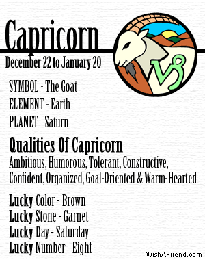 capricorn element capricorn element