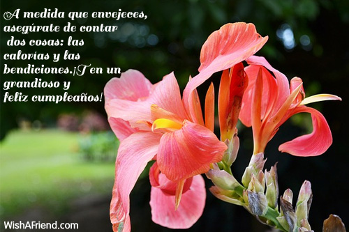 1704-mensajes-de-feliz-cumpleaños