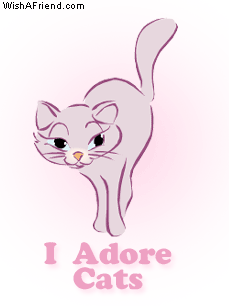 I Adore Cats