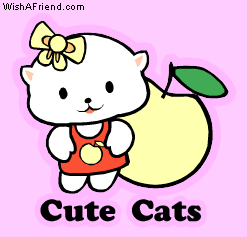 Cute Cats