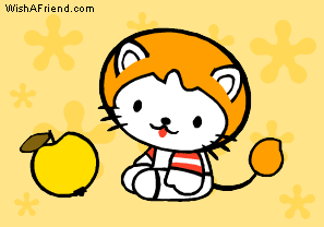 Kitty