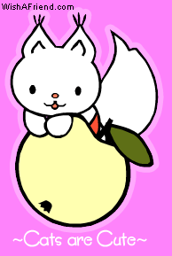 Cats are cute!