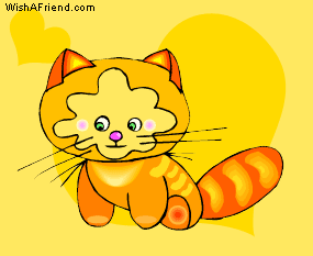 Kitten