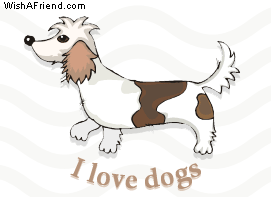 I Love Dogs