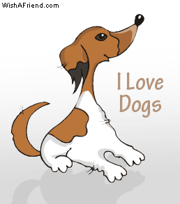 I Love Dogs