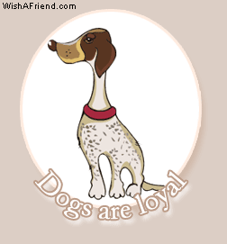 Dogs are loyal