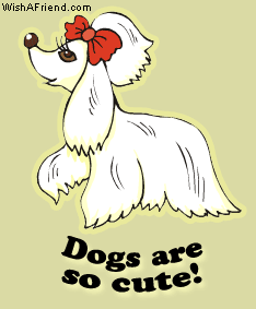 Dogs are so cute