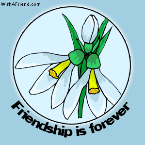 Friendship Is Forever