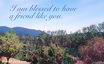 Myspace Graphics