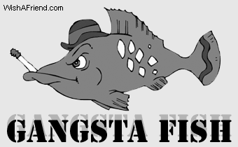 Myspace Graphics