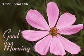 Hi5 Graphics