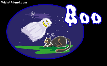 BOO