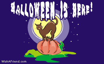 Halloween Is Here