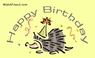 Wonderful Birthday