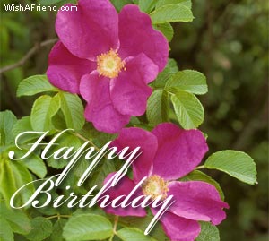 Happy Birthday