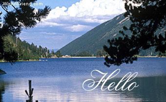 Hello