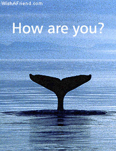 How Are You