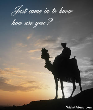 Came In To Know How Are You