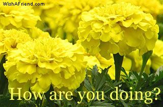 How Are You Doing
