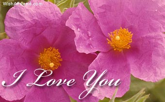 I Love You