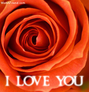 [img width=300 height=309]http://www.wishafriend.com/graphics/images/iloveyou16.jpg[/img]