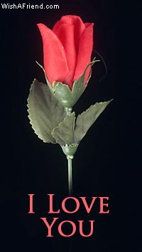 I Love You