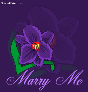 Marry Me