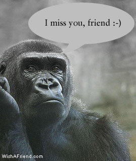 I Miss You, Friend!