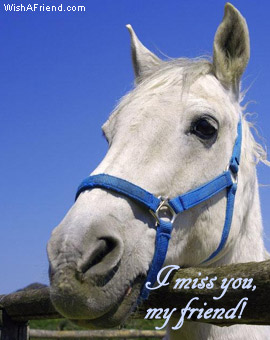 I Miss You, My Friend!