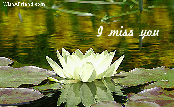 I Miss You
