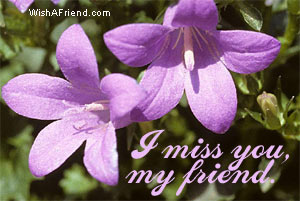 I Miss You, My Friend