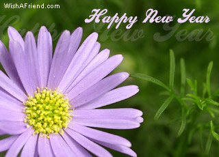 Happy New Year