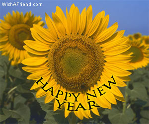Happy New Year