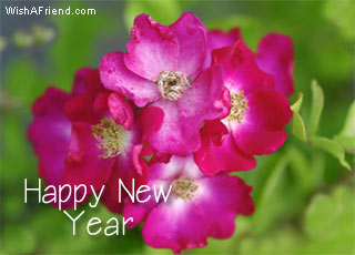 Happy New Year