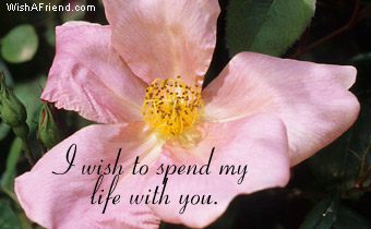 I Wish To Spend My Life With You.