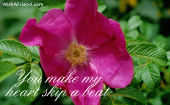 You Make My Heart Skip A Beat