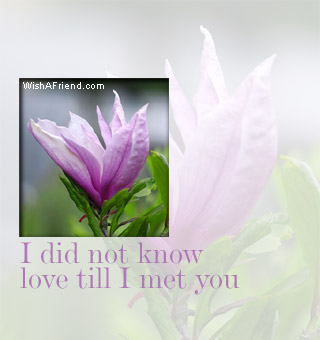 I Did Not Know Love Till I Met You