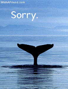 Sorry