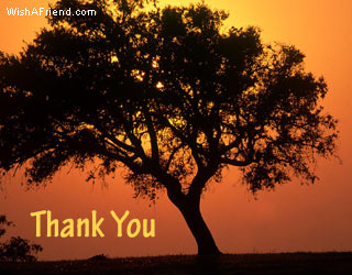 Thank You