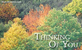 Thinking Of You