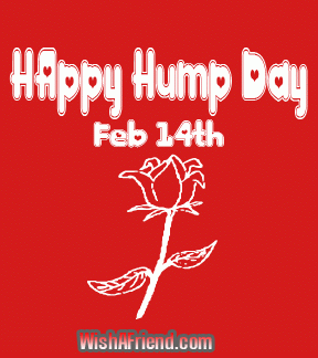 Happy Hump Day