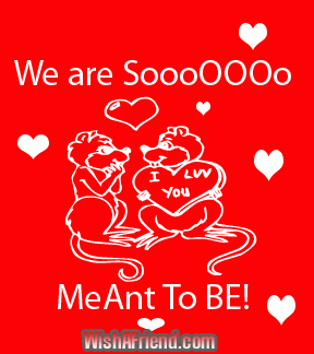 We Are So Meant To Be