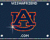 Myspace NCAA Vanity Plates Graphics