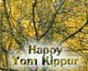 Yom Kippur Pictures