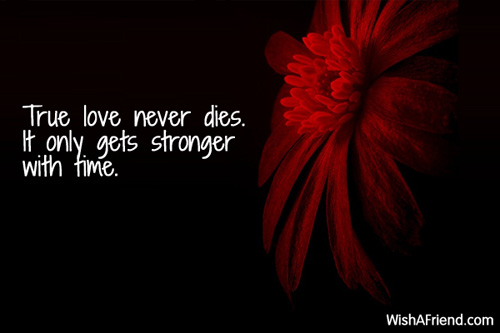 True love never dies. It only