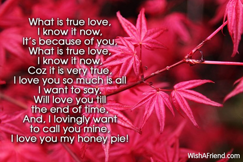 true love poems for my boyfriend